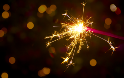 Auctioned activities for charity in 2017