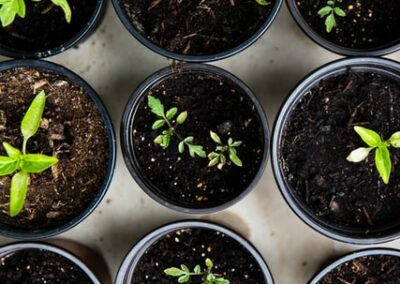 E Commerce Wachstum in wirtschaftlich schwierigen Zeiten