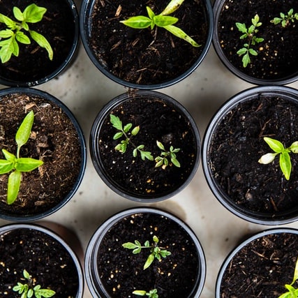 E Commerce Wachstum in wirtschaftlich schwierigen Zeiten